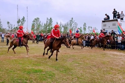 Tiếng vó ngựa trên Gò Thì Thùng