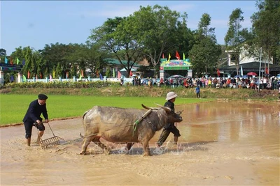 Gìn giữ lễ hội văn hóa Tây Bắc trên quê hương Lâm Đồng