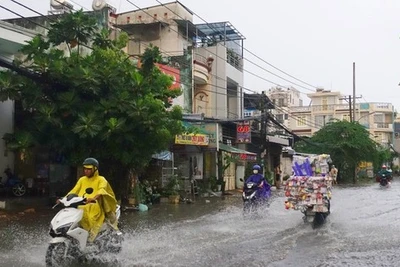 Nam Bộ, Tây Nguyên bao giờ vào mùa mưa?