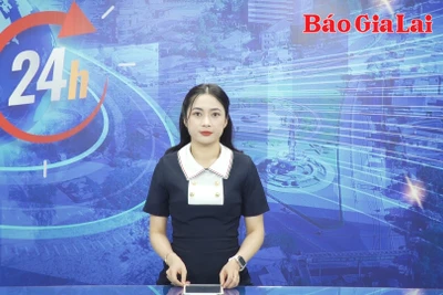 Gia Lai 24h: Tập đoàn Đức Long Gia Lai khiếu nại vì bị yêu cầu mở thủ tục phá sản lần 2