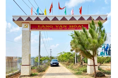 Pleiku xây dựng làng nông thôn mới thông minh