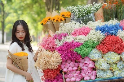 Mùa Thu gõ cửa, các nàng thơ rộn ràng check-in trên phố Hà Nội