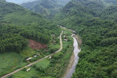 'Gõ cửa' Ho Rum: Sống bìa rừng nhưng lấy được tiền khách Tây