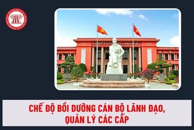 Gia Lai quy định về bồi dưỡng, cập nhật kiến thức đối với cán bộ lãnh đạo, quản lý