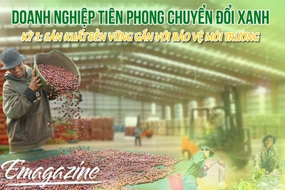 Doanh nghiệp tiên phong chuyển đổi xanh-Kỳ 1: Sản xuất bền vững gắn với bảo vệ môi trường