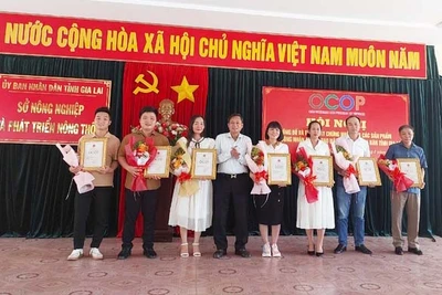 Gia Lai: Trao chứng nhận sản phẩm OCOP 4 sao