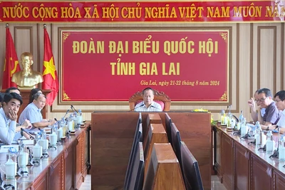 Đại biểu Quốc hội chất vấn nhiều vấn đề “nóng”