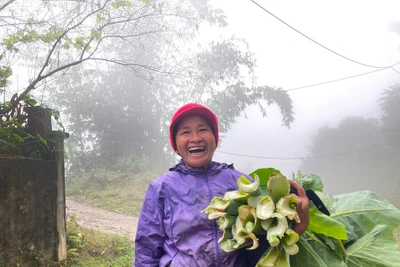 Trong mây Vân Sơn - Kỳ 1: Về thăm “thung lũng mây”