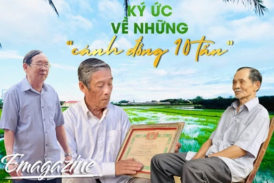 Ký ức về những “cánh đồng 10 tấn”