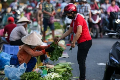 Tiền lương tối thiểu vùng được xác lập dựa trên các yếu tố nào?