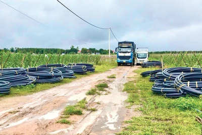 Công ty TNHH Sản xuất và kinh doanh Bảo Khang Plastic: “Sự hài lòng của khách hàng là động lực phát triển”