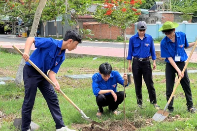 Tuổi trẻ Gia Lai chung tay phủ xanh đất trống, đồi trọc