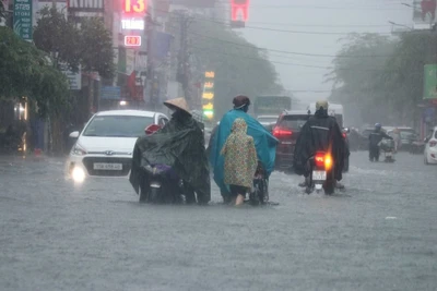 Nhiều khu vực trên biển và đất liền mưa dông, đề phòng lốc xoáy, gió giật mạnh