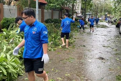 Thanh niên tình nguyện tham gia khắc phục hậu quả bão Yagi