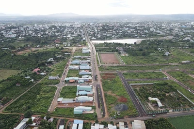 Gia Lai: Hàng loạt sai phạm trong đấu giá đất ở 1 huyện