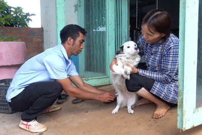 Chư Prông chủ động phòng-chống bệnh dại 