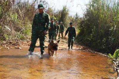 Biên cương hữu nghị: Đánh án ma túy ở ngã ba Đông Dương