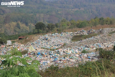 Rùng mình chứng kiến kim tiêm nằm la liệt trong bãi rác ở Đắk Nông