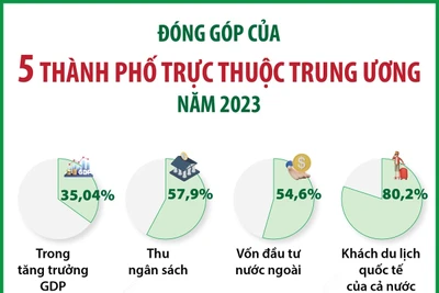 5 thành phố trực thuộc Trung ương đóng góp quan trọng trong phát triển kinh tế-xã hội