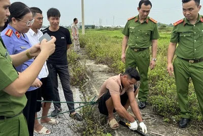 Ổ nhóm ở Thanh Hóa gây ra hàng loạt vụ trộm cắp dây cáp điện trị giá hơn 6 tỉ đồng