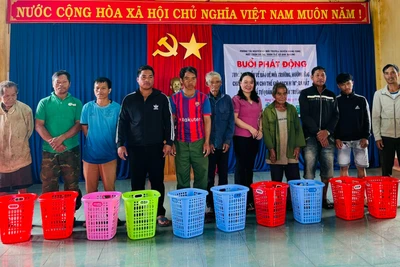 Xây dựng nông thôn mới: Khó khăn trong thực hiện tiêu chí môi trường và an toàn thực phẩm