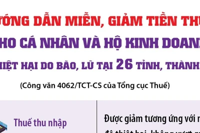 Hướng dẫn miễn, giảm thuế cho cá nhân, hộ kinh doanh và doanh nghiệp thiệt hại do bão lũ