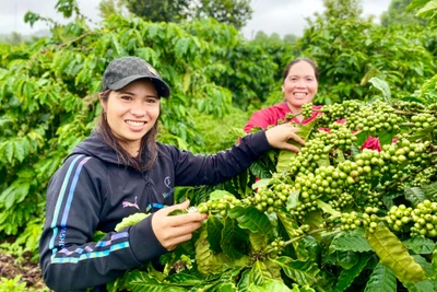 Puih H’Anen làm giàu từ mô hình kinh tế tổng hợp