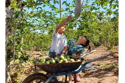 Chuyện làm nông nghiệp hữu cơ