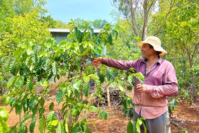 Quy hoạch công trình trên đất được cấp theo Chương trình 132: Người nghèo mòn mỏi chờ tháo gỡ