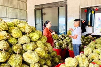 Cơ hội tăng trưởng cho ngành hàng sầu riêng