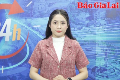 Gia Lai 24h: Chủ tịch UBND TP. Pleiku kiểm tra thực tế điểm sạt lở tại phường Hoa Lư