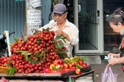 Vải thiều mất mùa, giá tăng chóng mặt