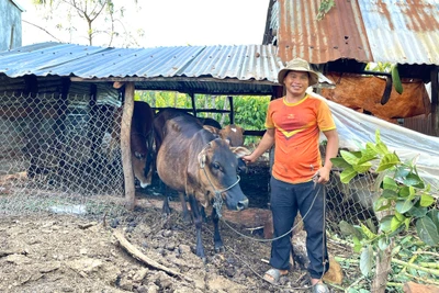 Chư Sê kéo giảm tỷ lệ hộ nghèo nhờ tín dụng chính sách