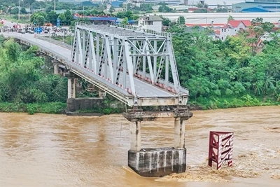 Còn lại gì sau bão Yagi?