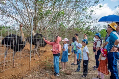 80.000 lượt du khách đến Đắk Nông dịp tết