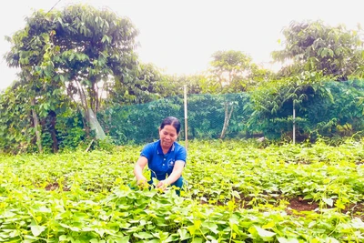 Chi bộ làng Bông Phun phát huy vai trò “hạt nhân” lãnh đạo 