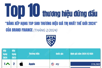 Top 10 thương hiệu đứng đầu 'Bảng xếp hạng Top 500 thương hiệu giá trị nhất thế giới 2024' của Brand Finance