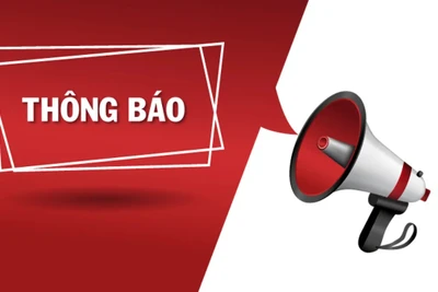 KHO BẠC NHÀ NƯỚC GIA LAI THÔNG BÁO XÉT TUYỂN HỢP ĐỒNG LAO ĐỘNG NĂM 2024