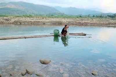 Đi săn cá sỉnh Nậm Thia