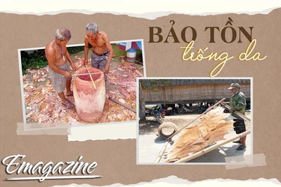 Bảo tồn trống da