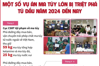 Từ đầu năm 2024 đến nay đã triệt phá gần 14.500 vụ án ma túy