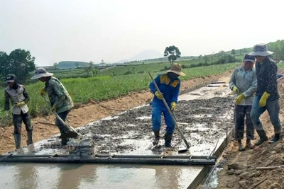 An Khê triển khai hiệu quả đầu tư công trung hạn