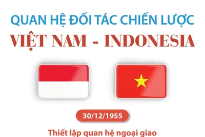 Quan hệ Đối tác Chiến lược Việt Nam - Indonesia