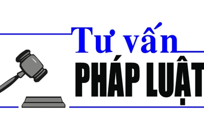 Luật sư Bùi Thanh Vũ: Tư vấn pháp luật