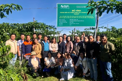 Các đại biểu đã đi tham quan mô hình trồng mới và thâm canh chanh leo theo VietGAP tại xã Ia Tiên (huyện Chư Sê). Ảnh: Lê Nam