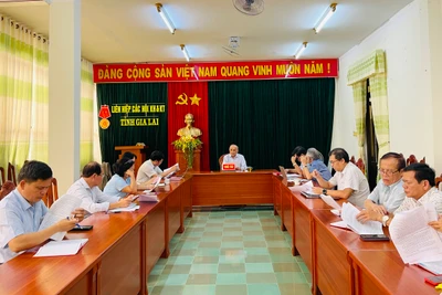 Gia Lai: Góp ý dự thảo Chương trình hành động xây dựng và phát huy vai trò của đội ngũ trí thức