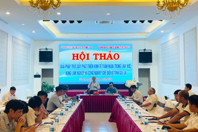 Hội thảo “Giải pháp thúc đẩy phát triển kinh tế tuần hoàn trong lĩnh vực nông-lâm nghiệp và công nghiệp chế biến ở Gia Lai”