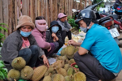 Dạo chợ quê trên cao nguyên Pleiku