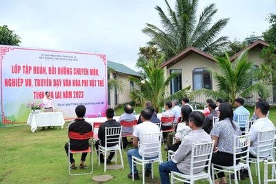 Gia Lai: Bồi dưỡng chuyên môn, nghiệp vụ, truyền dạy văn hóa phi vật thể cho nghệ nhân Bahnar