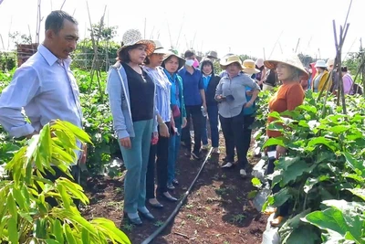  Chư Prông khen thưởng 40 tập thể, cá nhân thực hiện "5 không 3 sạch"